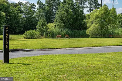 11436 Maid At Arms Lane, Berlin, MD 21811 - Photo 119