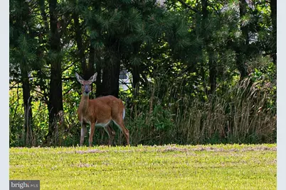 11436 Maid At Arms Lane, Berlin, MD 21811 - Photo 121