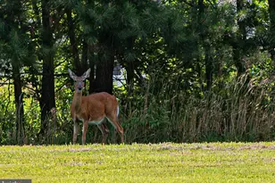 11436 Maid at Arms Ln, Berlin, MD 21811 - Photo 121