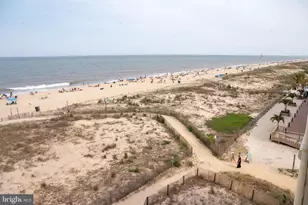 3801 Atlantic Ave, Ocean City, MD 21842 - Photo 49