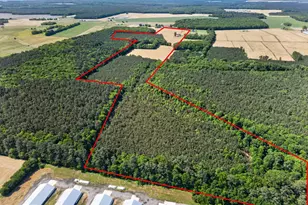 0 Ironshire Station Rd, Berlin, MD 21811 - Photo 3