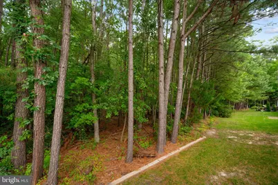 6 Federal Hl, Berlin, MD 21811 - Photo 57