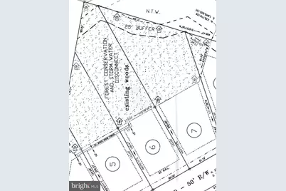 Lot 6 Beech Tree Lane, Berlin, MD 21811 - Photo 1