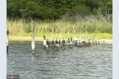 Corn Hammock Island, Bishopville, MD 21813 - Photo 17