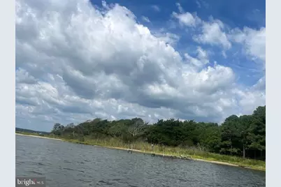 Corn Hammock Island, Bishopville, MD 21813 - Photo 5