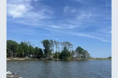 Corn Hammock Island, Bishopville, MD 21813 - Photo 3