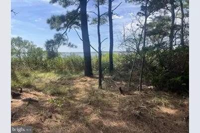 Corn Hammock Island, Bishopville, MD 21813 - Photo 13