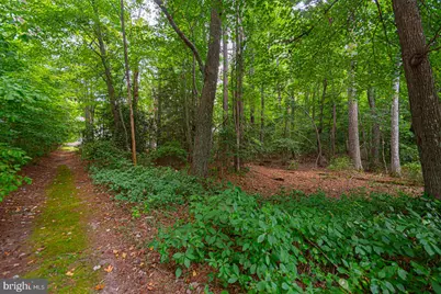 63 Chatham Court, Ocean Pines, MD 21811 - Photo 59