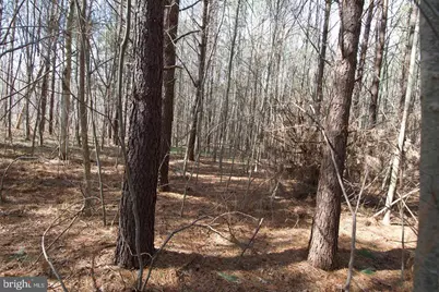 007 Libertytown Road, Berlin, MD 21811 - Photo 39