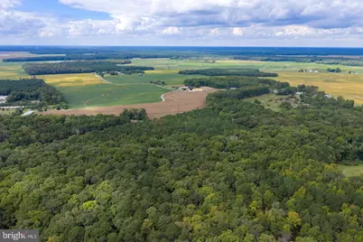 9406 Morris Road #0025, Bishopville, MD 21813 - Photo 17