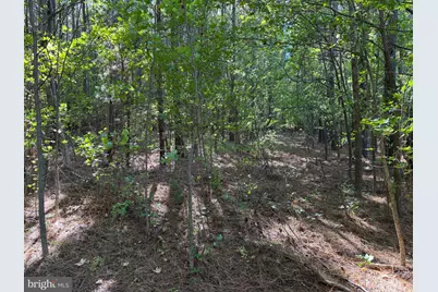 Lot 1 C Road, Snow Hill, MD 21863 - Photo 15