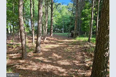 St Martins Neck Road, Bishopville, MD 21813 - Photo 11