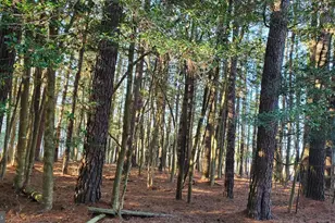 Lot 838 Castaway, Greenbackville, VA 23356 - Photo 3