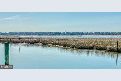 Lot 48 Piney Island Road, Chincoteague Island, VA 23336 - Photo 7