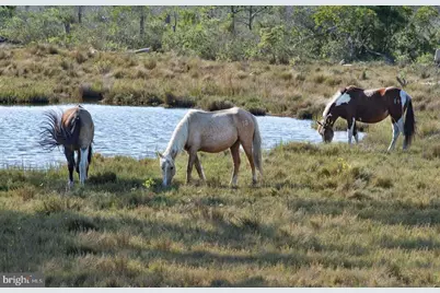 Lot 624 Castaway Drive, Greenbackville, VA 23356 - Photo 29