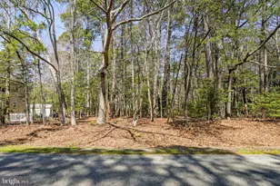 2521 Jolly Rodger Dr, Greenbackville, VA 23356 - Photo 31