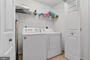 7518 Doe Bay Ln, Chincoteague Island, VA 23336 - Photo 41