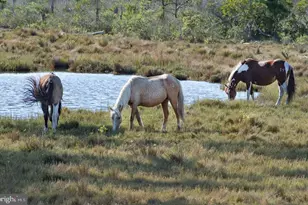 Lot 2312 Seahorse Rd, Greenbackville, VA 23356 - Photo 27
