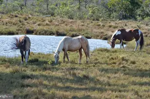 Lot 5 Brigantine Blvd, Greenbackville, VA 23356 - Photo 27