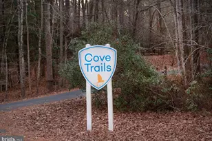 Lot 32 Brigantine Blvd, Greenbackville, VA 23356 - Photo 21