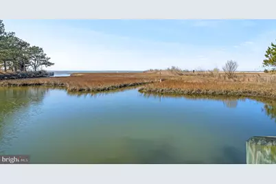 4443 Shady Lane, Chincoteague Island, VA 23336 - Photo 81