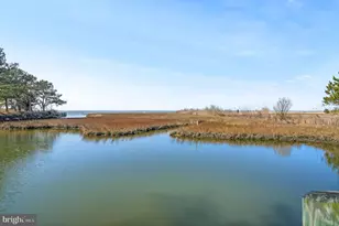 4443 Shady Ln, Chincoteague Island, VA 23336 - Photo 81