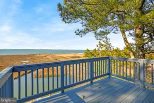 4443 Shady Ln, Chincoteague Island, VA 23336 - Photo 47