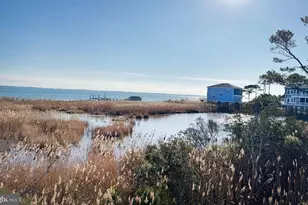 Lot 720 Castaway Dr, Greenbackville, VA 23356 - Photo 9