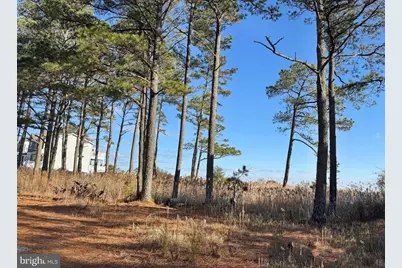 Lot 720 Castaway Drive, Greenbackville, VA 23356 - Photo 11