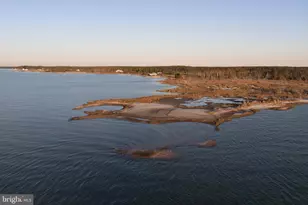 24227 Thicket Point Ln, Onancock, VA 23417 - Photo 65