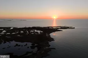 24227 Thicket Point Ln, Onancock, VA 23417 - Photo 69