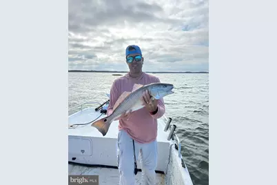 24227 Thicket Point Lane, Onancock, VA 23417 - Photo 87