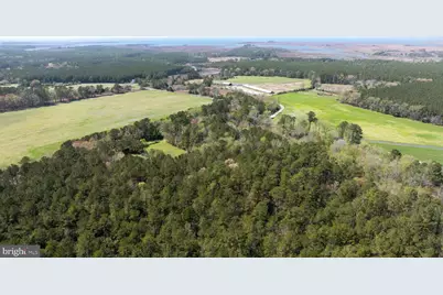 14123 Winterville Road, Bloxom, VA 23308 - Photo 69