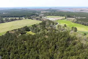 14123 Winterville Rd, Bloxom, VA 23308 - Photo 69