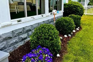 8 South St, Wachapreague, VA 23480 - Photo 31
