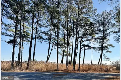 Lot 720 Castaway Drive, Greenbackville, VA 23356 - Photo 13