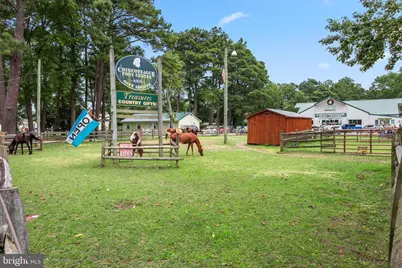 6206 Marsh Island Drive, Chincoteague Island, VA 23336 - Photo 31