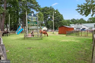 6206 Marsh Island Dr, Chincoteague Island, VA 23336 - Photo 31