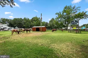 6206 Marsh Island Dr, Chincoteague Island, VA 23336 - Photo 33
