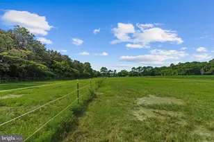 26301 Joynes Neck Rd, Accomac, VA 23301 - Photo 51