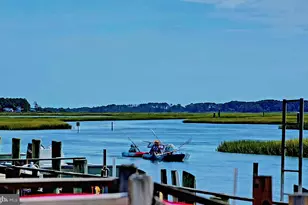 7550 East Side Rd, Chincoteague Island, VA 23336 - Photo 33