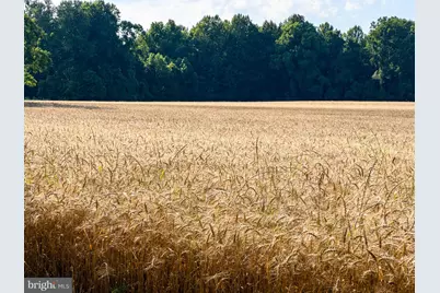 2459 Dunbrooke Road, Tappahannock, VA 22560 - Photo 85