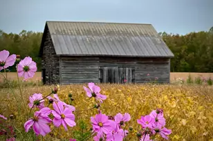 2459 Dunbrooke Rd, Tappahannock, VA 22560 - Photo 115