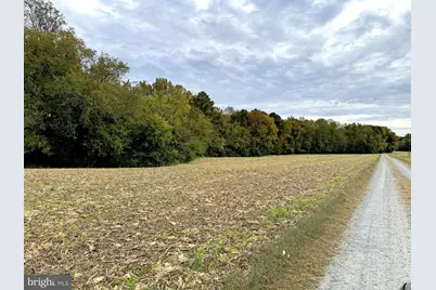 1126 Cloverdale Rd, Laneview, VA 22504 - Photo 49