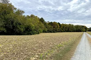 1126 Cloverdale Rd, Laneview, VA 22504 - Photo 49