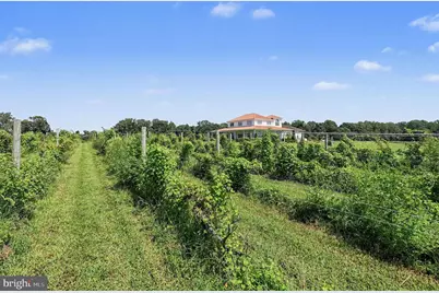 495 Meadow Landing Lane, Caret, VA 22436 - Photo 51