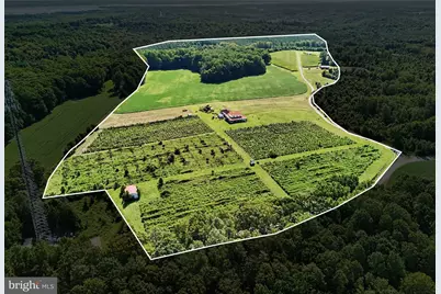 495 Meadow Landing Lane, Caret, VA 22436 - Photo 75