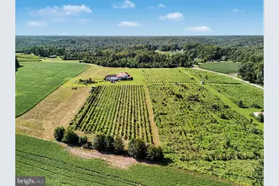 495 Meadow Landing Lane, Caret, VA 22436 - Photo 63