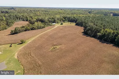 Ullainee Road, Caret, VA 22436 - Photo 3