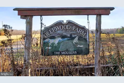 495 Deepwood Farm Drive, Scottsville, VA 24590 - Photo 67